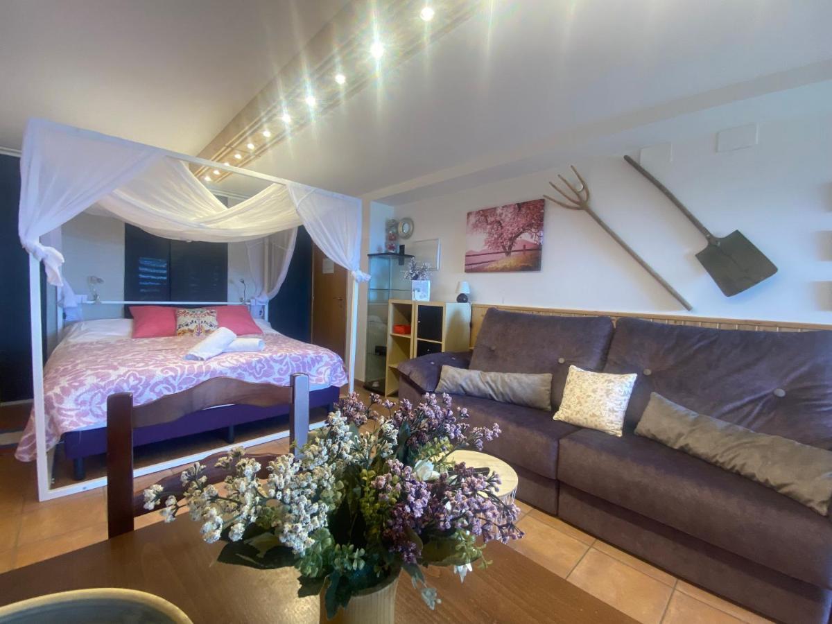 Agrovillaujue apartamentos rurales Exterior foto