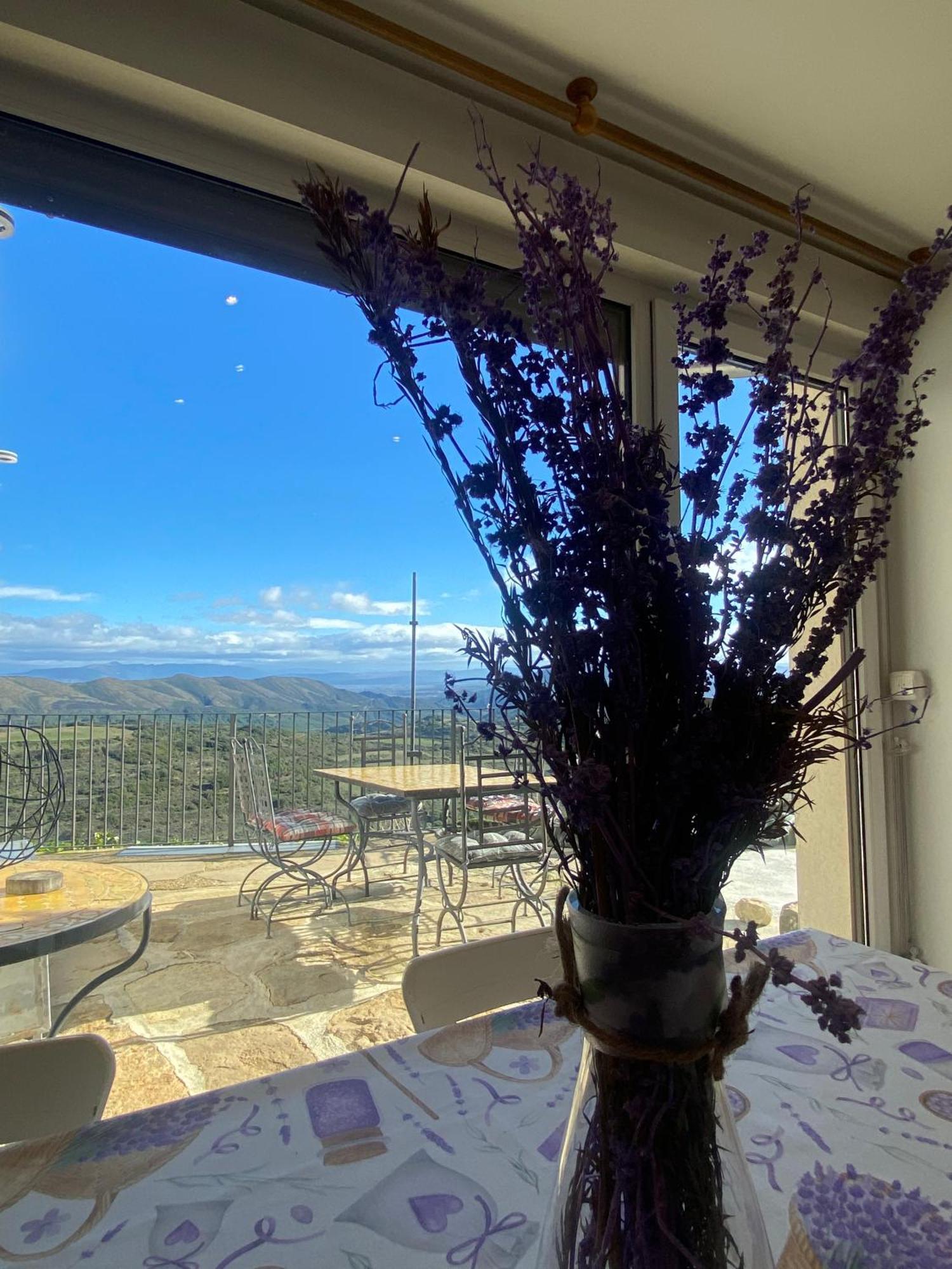 Agrovillaujue apartamentos rurales Exterior foto